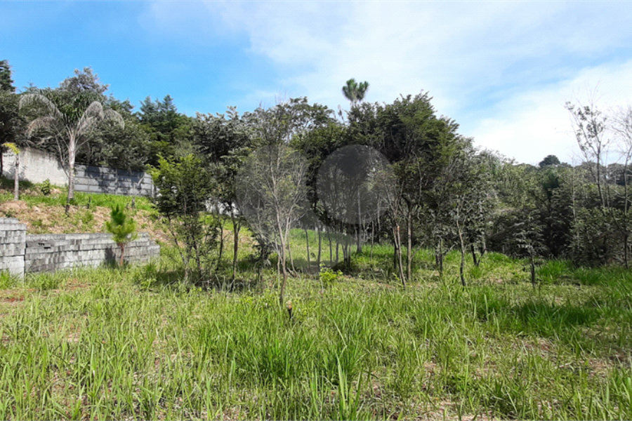 Terreno à venda em São Vicente, Mairiporã, SP