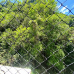 Apartamento Residencial à venda, Centro, Guarujá - AP1385.