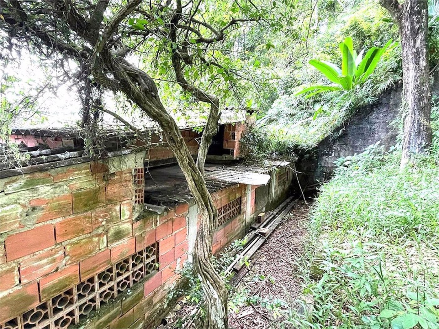Terreno Residencial à venda, Morro de Nova Cintra, Santos - TE0034.