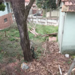 Terreno à venda em Chácara Inglesa (zona Norte), São Paulo, SP