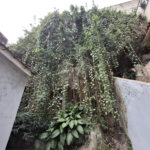 Casa à venda com 3 quartos em Andaraí, Rio de Janeiro, RJ