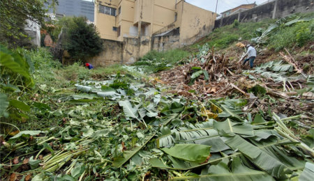 Terreno à venda em Tucuruvi, São Paulo, SP