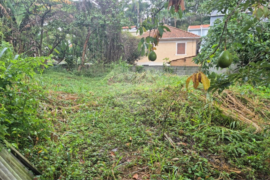 Terreno à venda ou para alugar em Horto, São Paulo, SP