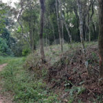 Terreno à venda em Serra da Cantareira, Mairiporã, SP