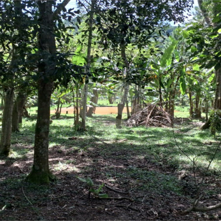 Chácara à venda com 4 quartos, sendo 1 suíte, em Taiaçupeba, Mogi das Cruzes, SP