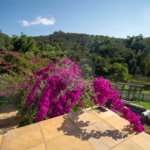 Sítio à venda em Vila Darcy Penteado (mailasqui), São Roque, SP