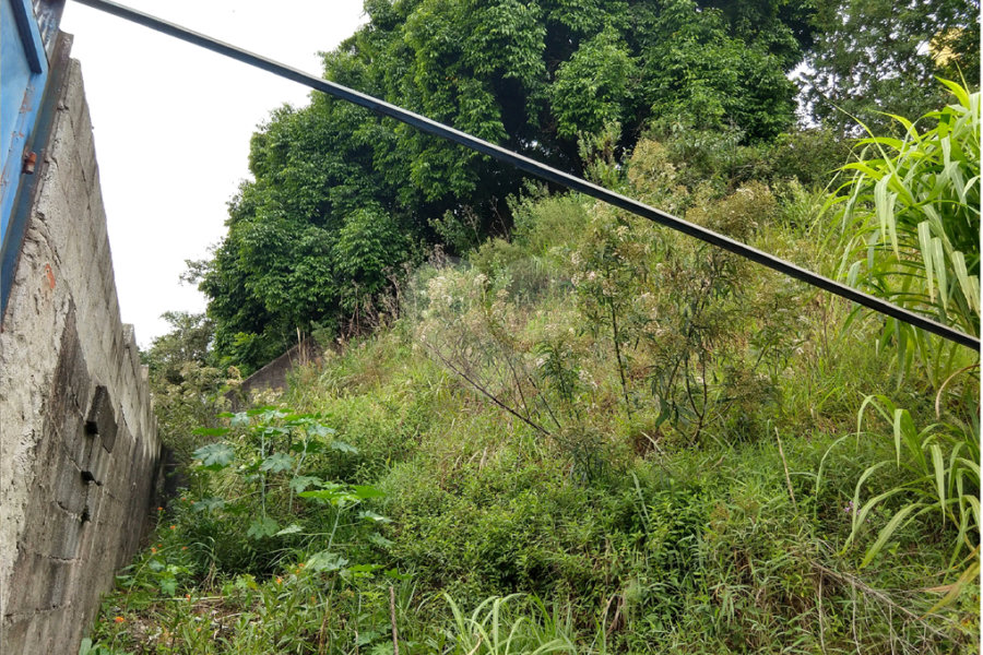 Terreno à venda em Vila Maria, São Paulo, SP