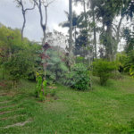 Casa Térrea à venda com 4 quartos, sendo 2 suítes, em Serra da Cantareira, Mairiporã, SP