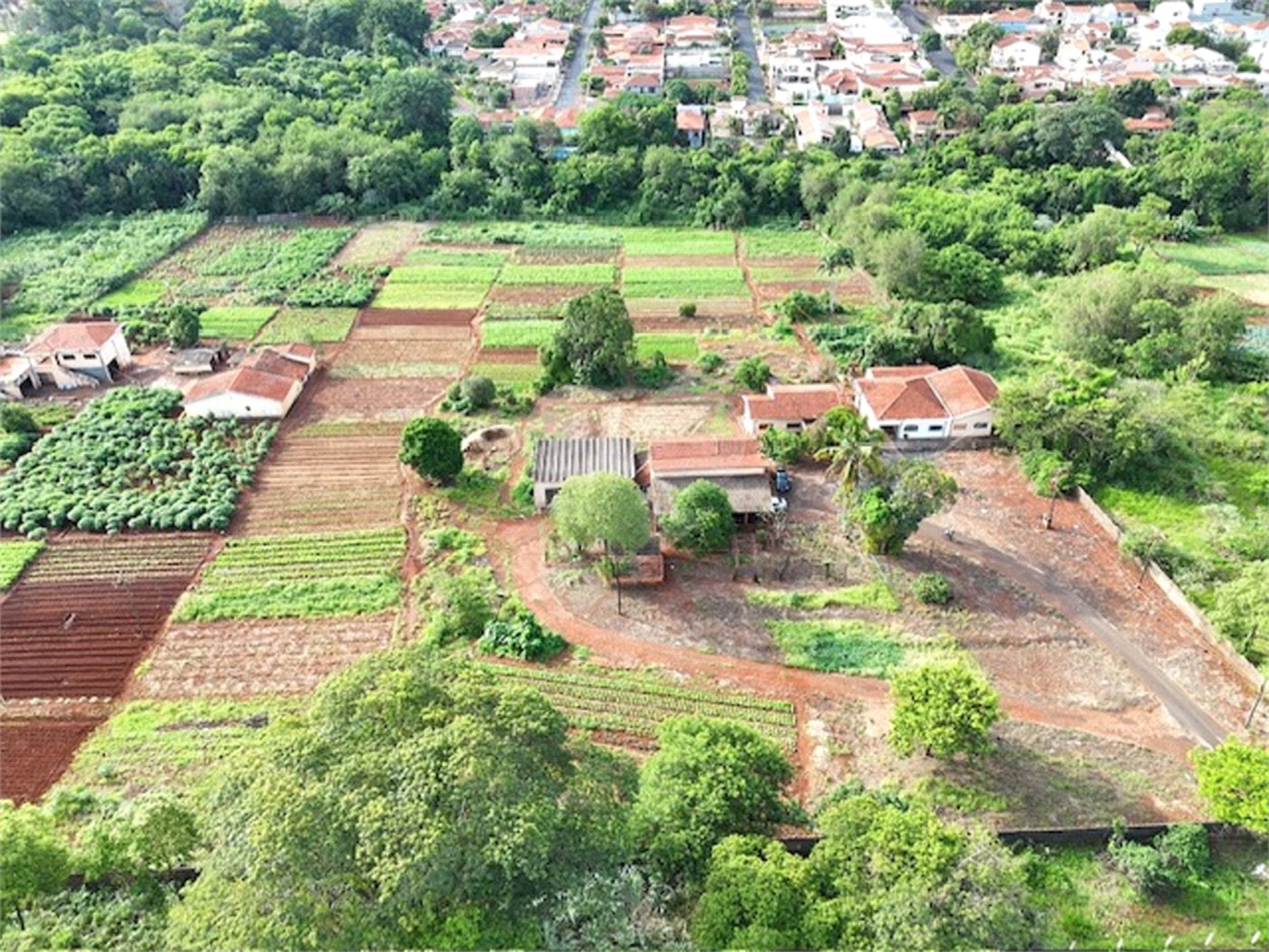 Terreno à venda em Jardim Itaú, Ribeirão Preto, SP