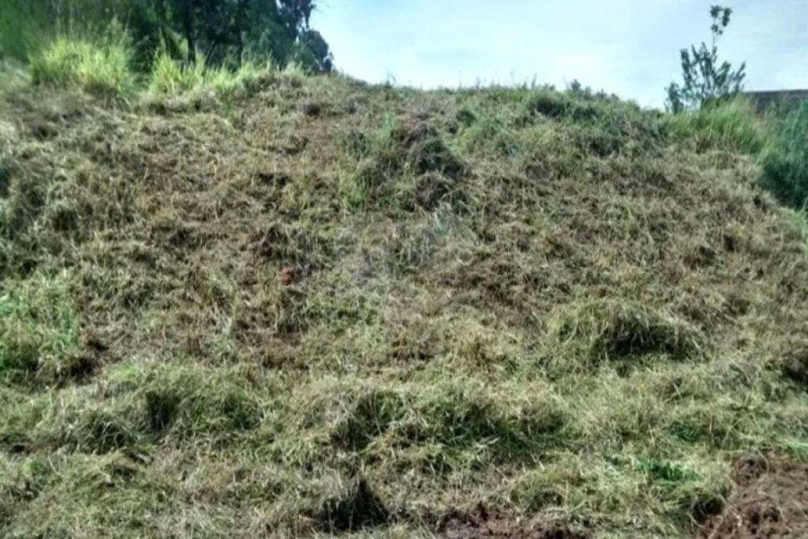 Terreno à venda em Perus, São Paulo, SP
