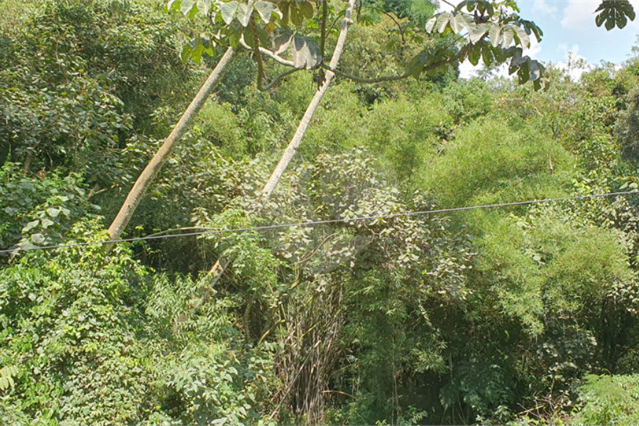 Chácara à venda com 2 quartos em Serra da Cantareira, Mairiporã, SP