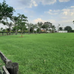 Rancho com 12 dormitórios à venda, 63000 m² por R$ 7.500.000,00 - Condomínio Haras Paineiras - Salto/SP