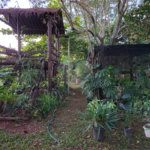Chácara à venda com 3 quartos, sendo 1 suíte,  em Ribeirãozinho, Alambari, SP