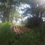 Terreno à venda em Vale Verde, Valinhos, SP
