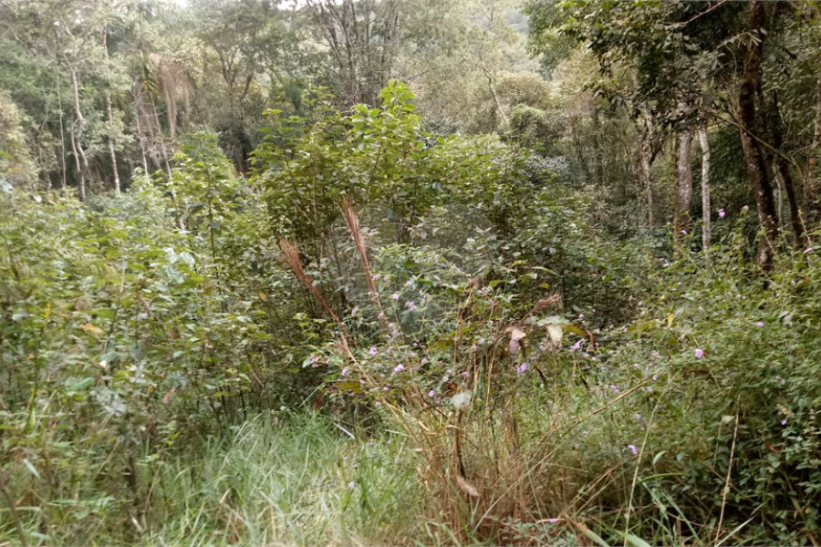 Terreno à venda no condomínio Sausalito, Mairiporã - SP