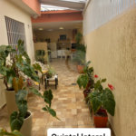 Casa Térrea à venda com 3 quartos em Jardim Virginia Bianca, São Paulo, SP