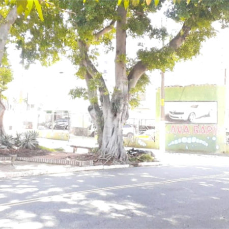 Casa Térrea Ampla com 4 Dormitórios, Suíte e Quintal à Apenas 15 Minutos do Estação Tatuapé.