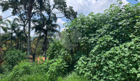 Terreno à venda em Roseira, Mairiporã, SP