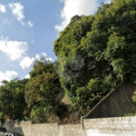 Terreno à venda em Vila Guilherme, São Paulo, SP