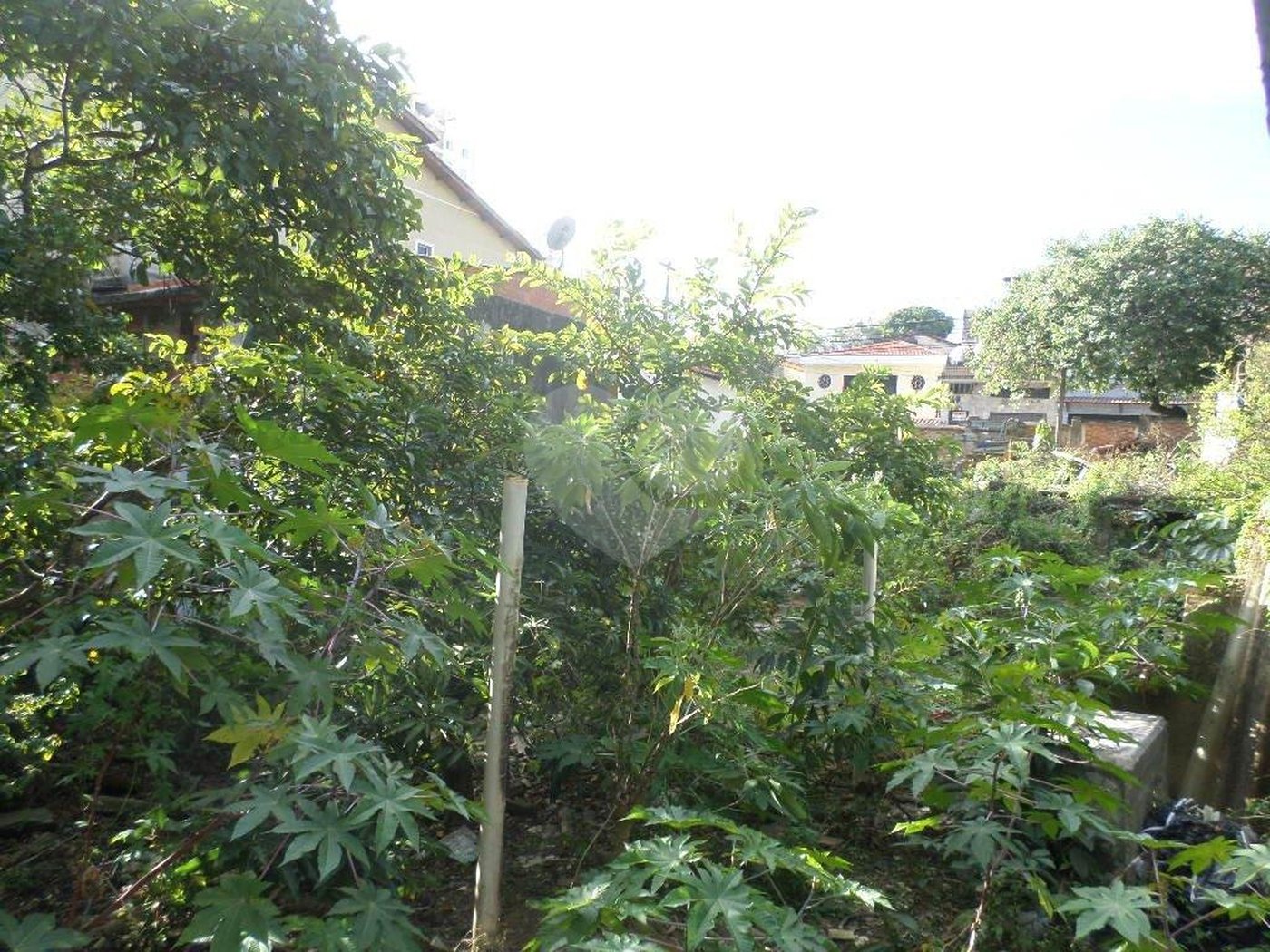 Terreno à venda ou para alugar em Água Fria, São Paulo, SP