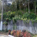 Terreno à venda em Serra da Cantareira, Mairiporã, SP