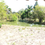 Sítio à venda com 8 quartos em Parque Rio Abaixo, Atibaia, SP
