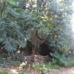 Terreno à venda em Tremembé, São Paulo, SP