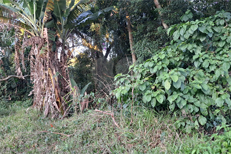 Terreno à venda no condomínio Residencial Bosque da Serra, Mairiporã - SP