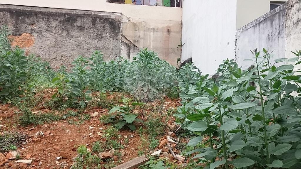 Terreno à venda em Limão, São Paulo, SP