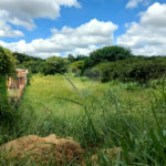 Terreno à venda em Abadia, Louveira, SP