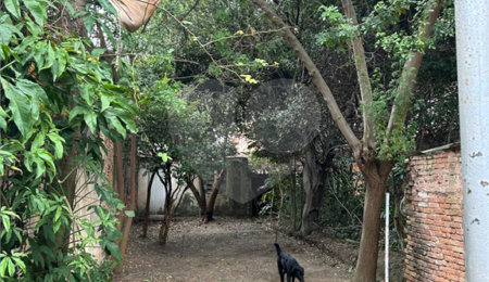 Terreno à venda ou para alugar em Perdizes, São Paulo, SP