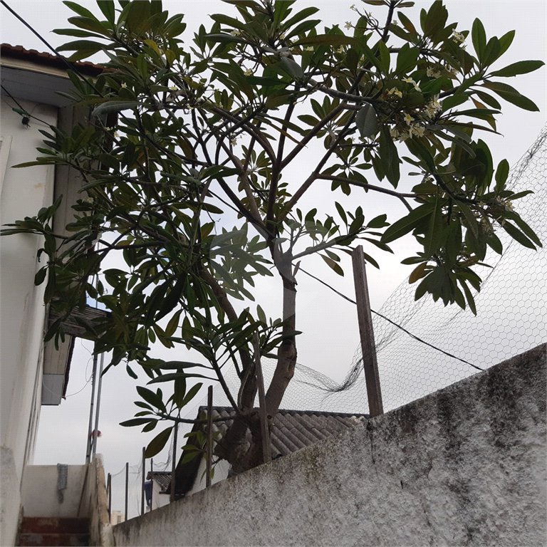 Terreno à venda em Água Fria, São Paulo, SP