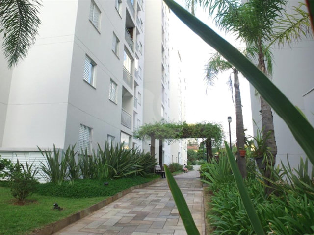 Apartamento à venda com 3 quartos, sendo 1 suíte,  em Limão, São Paulo, SP