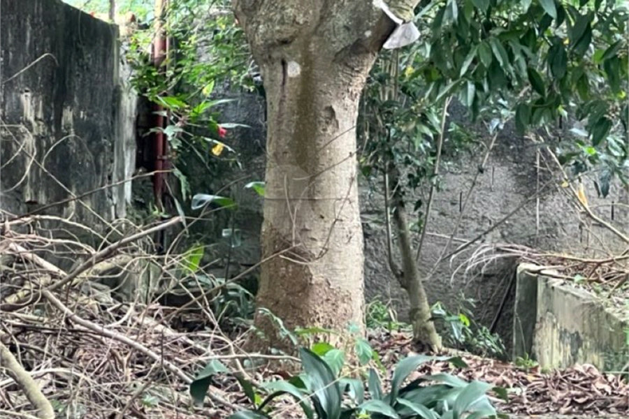 Terreno à venda com 1 quarto em Horto, São Paulo, SP