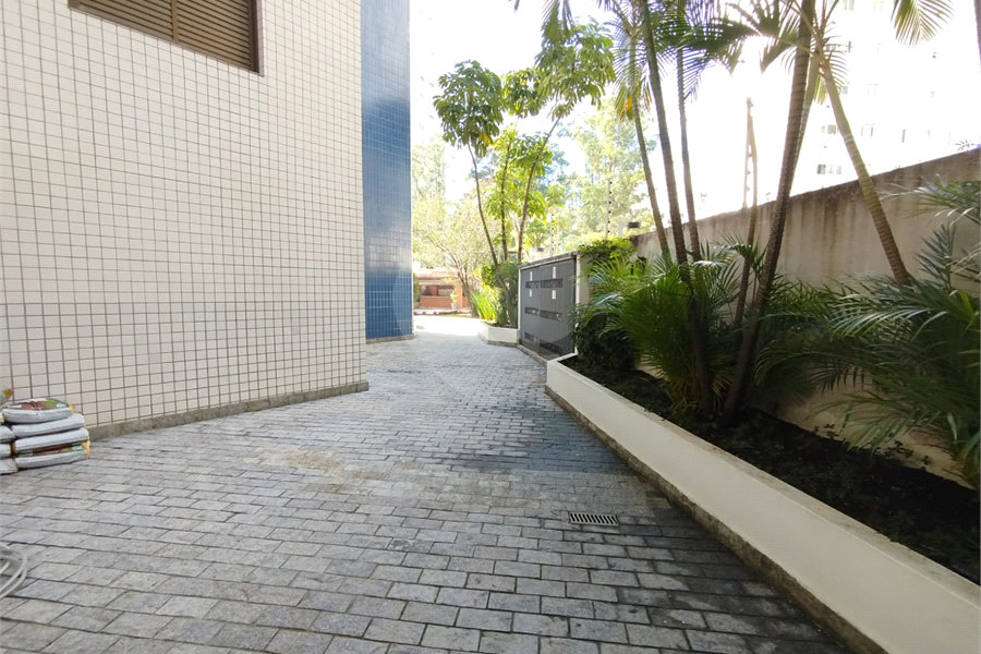 Apartamento para alugar com 3 quartos, sendo 1 suíte, em Morumbi, São Paulo, SP