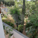 Sobrado à venda com 4 suítes em Tremembé, São Paulo, SP