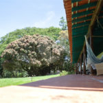 Chácara à venda com 5 quartos em Volta Grande (são João Novo), São Roque, SP