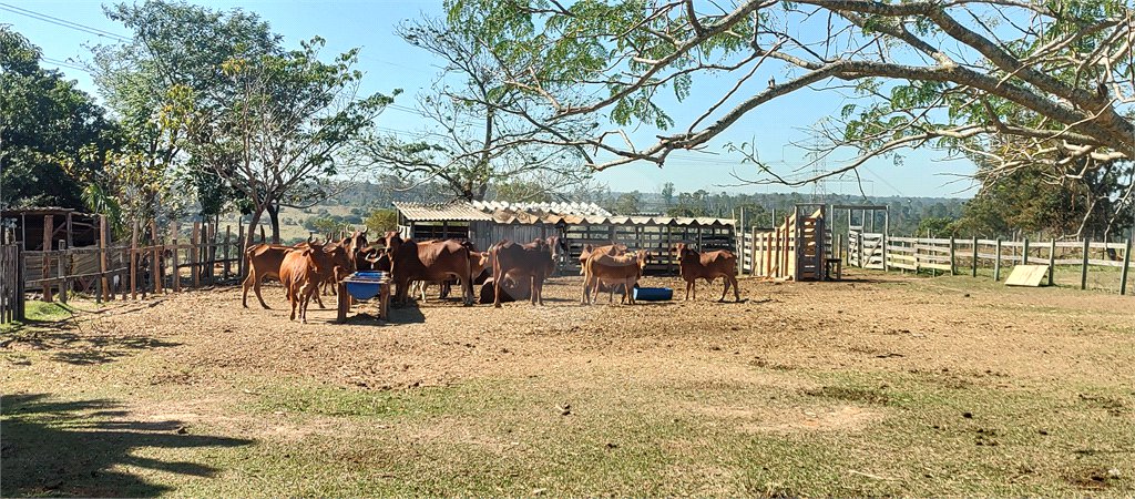 Sítio à venda com 2 suítes em Buru, Salto, SP