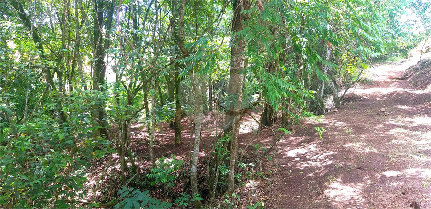 Sítio à venda no Centro, Monte Sião, MG
