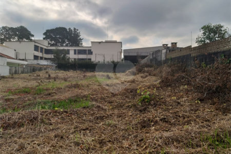 Terreno à venda com 1 suíte em Vila Mazzei, São Paulo, SP