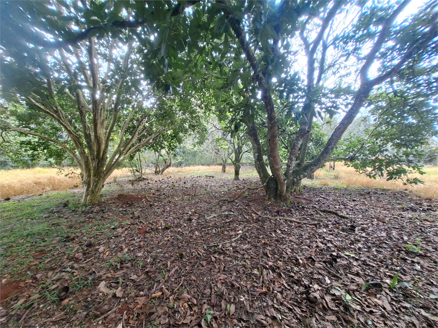 Terreno à venda em Portal da Figueira, Itapetininga, SP