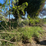 Terreno à venda em Campo Lindo, Seropédica, RJ