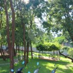 Apartamento à venda com 2 quartos em Parque Residencial Lagoinha, Ribeirão Preto, SP