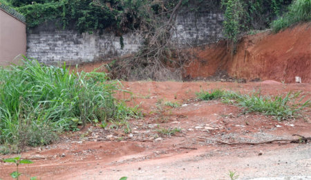 Terreno à venda em Vila Albertina, São Paulo, SP