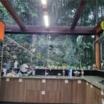 Sobrado à venda com 3 suítes em Serra da Cantareira, Mairiporã, SP