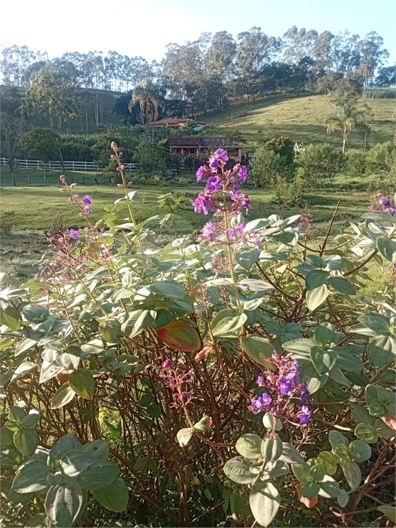 Sítio à venda com 2 quartos em Área Rural de Lagoinha, Lagoinha, SP