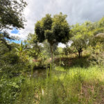 Chácara à venda com 3 quartos, sendo 1 suíte, no Centro, Araçoiaba da Serra, SP