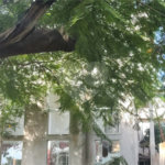 Casa à venda com 6 quartos, sendo 1 suíte, no condomínio Cafezal IV, Itupeva - SP