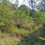 Terreno à venda em Bosque dos Eucalíptos, Atibaia, SP