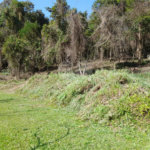 Loteamento à venda em Serra da Cantareira, São Paulo, SP